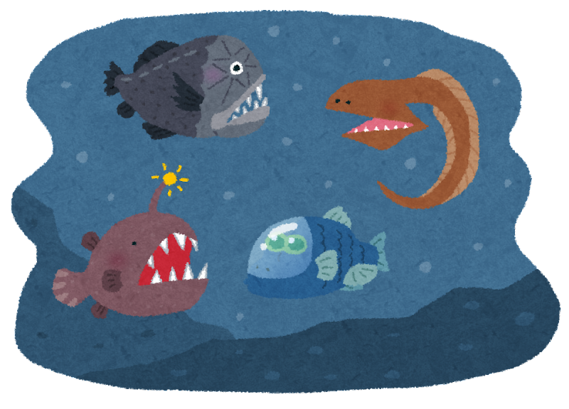 【三大深海生物】シーラカンス、ダイオウグソクムシあと一つは？